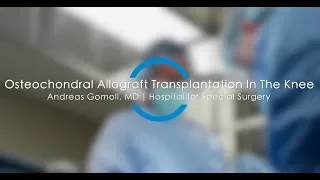 Osteochondral Allograft Transplantation In The Knee