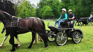 CH Bennekom, Stukje Hippische cultuur sinds 1903, Kasteel Hoekelum te Bennekom.