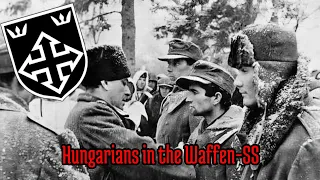 25. Waffen-Grenadier-Division der SS Hunyadi  - episode 25, all waffen-SS divisions.