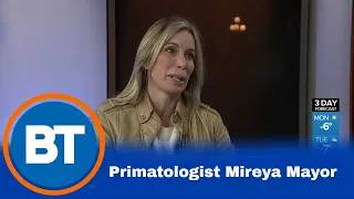 Primatologist Mireya Mayor