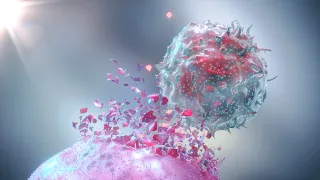 Natural Killer Cells: The Tumor Killers