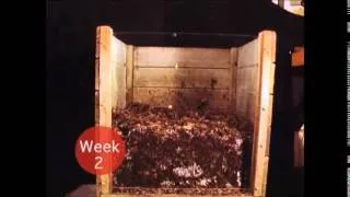 Compost Time-Lapse
