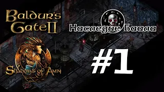 #1. Baldur's Gate 2. Прохождение. Максимальная сложность. Освобождение.