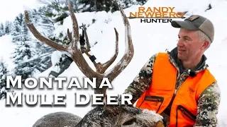 2018 Montana Mule Deer with Randy Newberg