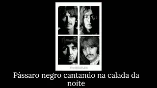 Black Bird - The Beatles - Tradução/Legendado