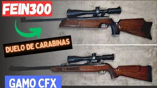 Duelo de Carabinas: Gamo CFX Royal Vs Feinwerkbau 300S