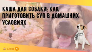 Каша для собаки: как приготовить суп в домашних условиях