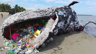 10 üble Dinge, die durch Plastik im Meer verursacht werden