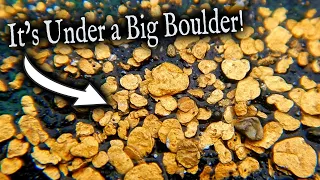 Huge Boulder Reveals *Huge Gold Deposit*!