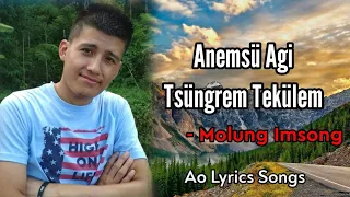 Anemsu Agi Tsungrem Tekulem ~ Molung Imsong | Lyrics Video
