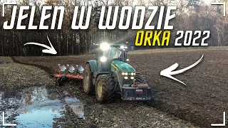 ✩ 🇵🇱 JELEŃ W WODZIE 🇵🇱 ✩ Orka Zimowa 2022 na Żuławach ✩ John Deere & Kuhn ✩ @sierotarolnik1794