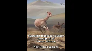 World History Chapter 2 Part 1: The Ice Age | PREHISTORY