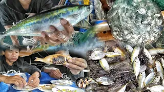 PAG DILIM NG BANGKA PUMASOK SA LAMBAT MGA PUSIT AT IBA'T IBANG ISDA.