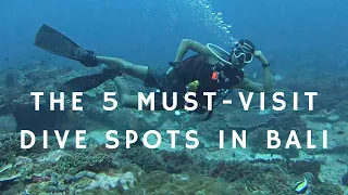 The Dive Enthusiast's Guide: Top 5 Dive Spots in Nusa Lembongan & Penida