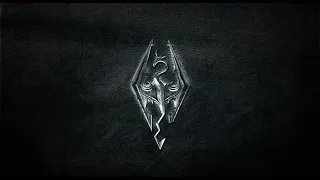 Skyrim с Лисичкой ч 15 Коллегия Архимаг