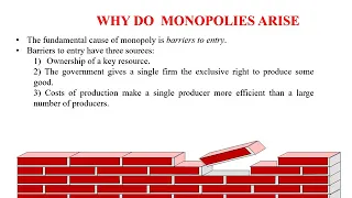 SM9628 - Lecture 22 - Neoclassical Theory of the Firm: Monopoly