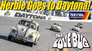 Herbie The Love Bug's 53rd Anniversary Daytona International Speedway!
