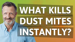 What kills dust mites instantly?