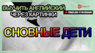 Выучить английский через картинки |английский словарь основные дети | Golearn