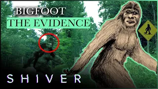 Is There Proof That Bigfoot Lives Today? | Boogeymen | Shiver