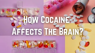 How Cocaine Affects The Brain?