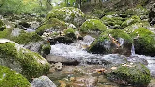 🎧ASMR| 1시간 | 힐링 제대로 즐기기 | 다양한 계곡물소리 | 자연의소리, 명상 Comfortable varied sound, water running, 一小时舒适多样的流水声