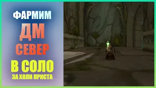 Фармим Северный ДМ за Холи Приста в соло Wow Classic