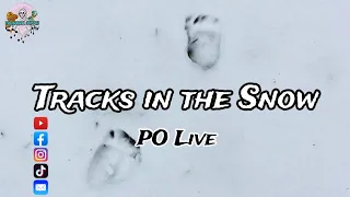 Tracks in the Snow! Paranormal Odyssey Live EP:193