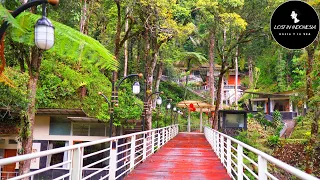 Lake Toba trip EP1--The Taman Simalem Resort