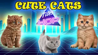 CUTE CATS - IMAGINE DRAGONS  vs WAKA WAKA vs LEAN ON vs DANCIN -TILES HOP EDM RUSH