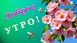 Доброе Утро! Весна. Природа оживает.