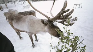 Talvi Inari-Saariselällä on täynnä lumisia aktiviteetteja!