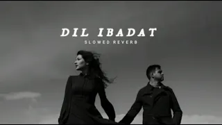 Dil Ibadat [ Slowed & Reverb ] K.K !! Velocity Relief