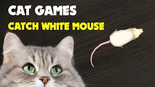 CAT GAMES Mouse hunt 1 hour | Catching white mouse