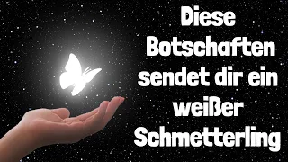 Sei gespannt, welche Botschaften dir ein weißer Schmetterling sendet