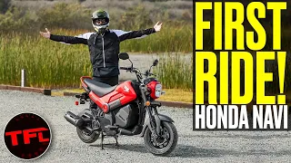 Is The Crazy Cheap New Honda Navi The BEST Option Under $2K — Or Should You Get A Used Grom Instead?
