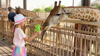 Sofia and her family spend a fun day at the zoo and feed the animals