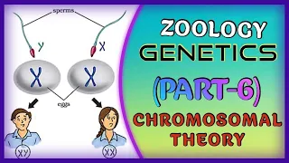 ZOOLOGY GENETICS (PART-6)//12th CLASS// +2 SCIENCE// NCERT// CBSE// CHSE// NEET // OUAT// AIIMS