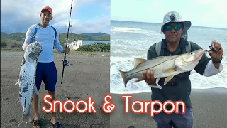 Tarpon & Snook fight ft. Kemjay fishing..
