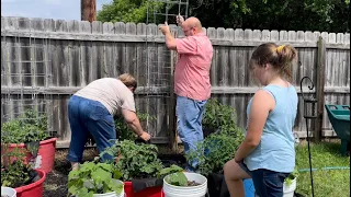 Our Last Tomato Cages Ever