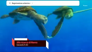 Alla Ricerca di Nemo Giovedì 07 Dicembre 2017 RAI 2