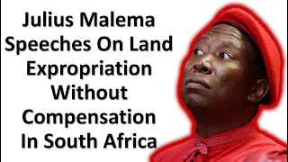 Julius Malema Speeches On Land Expropriation Without Compensation In South Africa