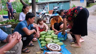 Wasp Was Destroyed By Other Beehives, Harvested Melons and brought them to the market to sell