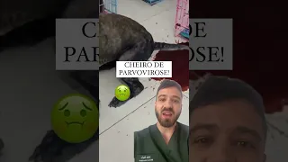 🤢 PARVOVIROSE! O pior cheiro que já senti na VIDA!