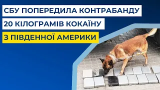 СБУ попередила контрабанду 20 кілограмів кокаїну з Південної Америки