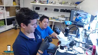 Enseñando un rato a Ever microsoldadura - iPhone 6 No Prende Corto en la Linea Principal VCC-MAIN