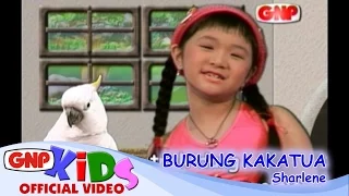 Burung Kakatua - Sharlene