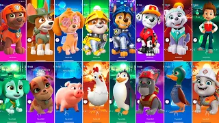 Paw Patrol All Video Megamix ZUMA VS TRACKER VS SKYE VS RUBBLE VS CHASE VS MARSHALL VS EVEREST