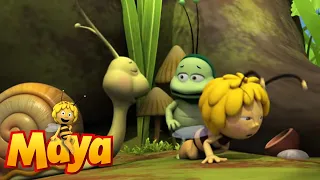 The big eat - Maya the Bee - Episode 70