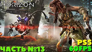 ✅(PS5) Horizon Forbidden West(Запретный Запад) - Прохождение. Часть №13.